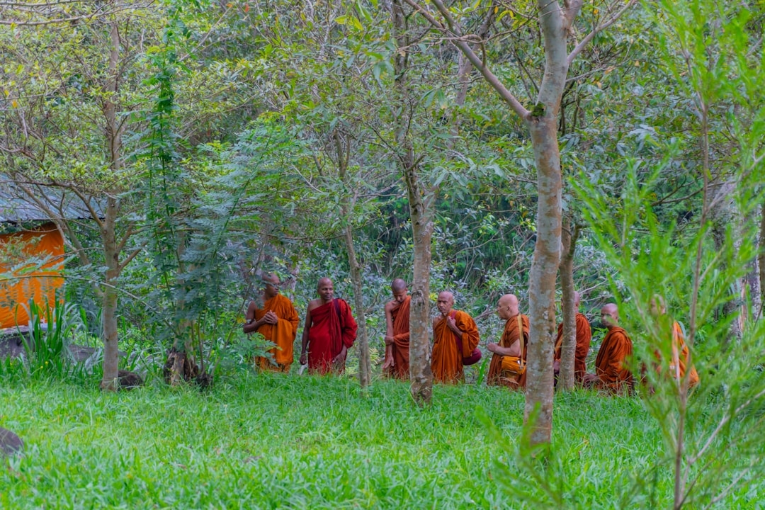 a group of monks walking through a forest