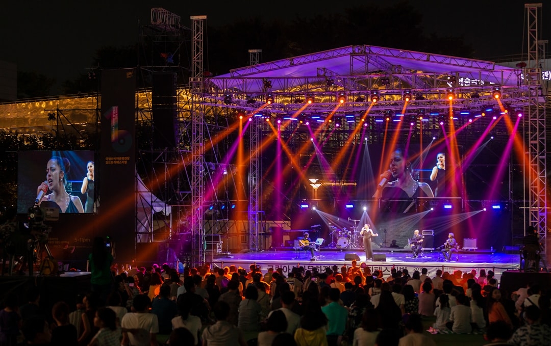 people watching concert during night time